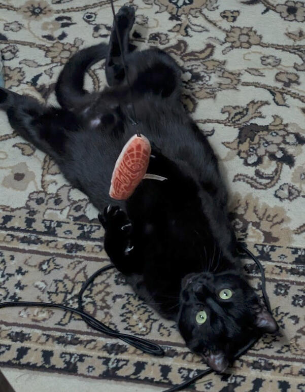 Onyx